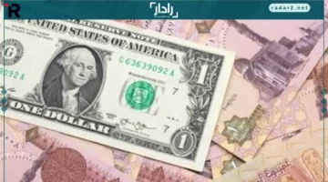 استقرار الدولار أمام الجنيه المصري وترقب تحركات البنك المركزي